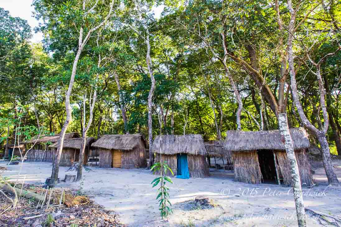 Deforestation in Mozambique_&copy;PeterChadwick_AfricanConservationPhotographer