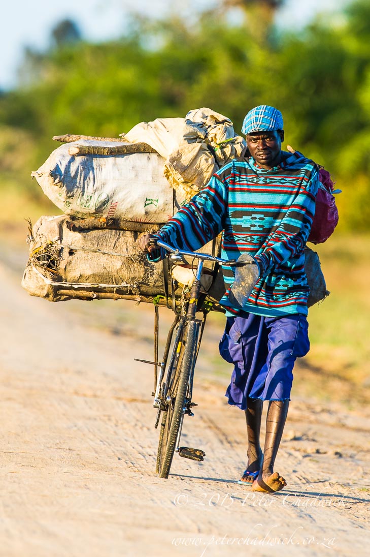 Deforestation in Mozambique_&copy;PeterChadwick_AfricanConservationPhotographer