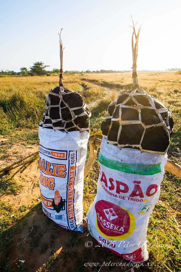 Deforestation in Mozambique_&copy;PeterChadwick_AfricanConservationPhotographer